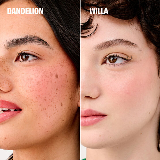 HOLIDAY 2025 CHEEK PALETTE 1